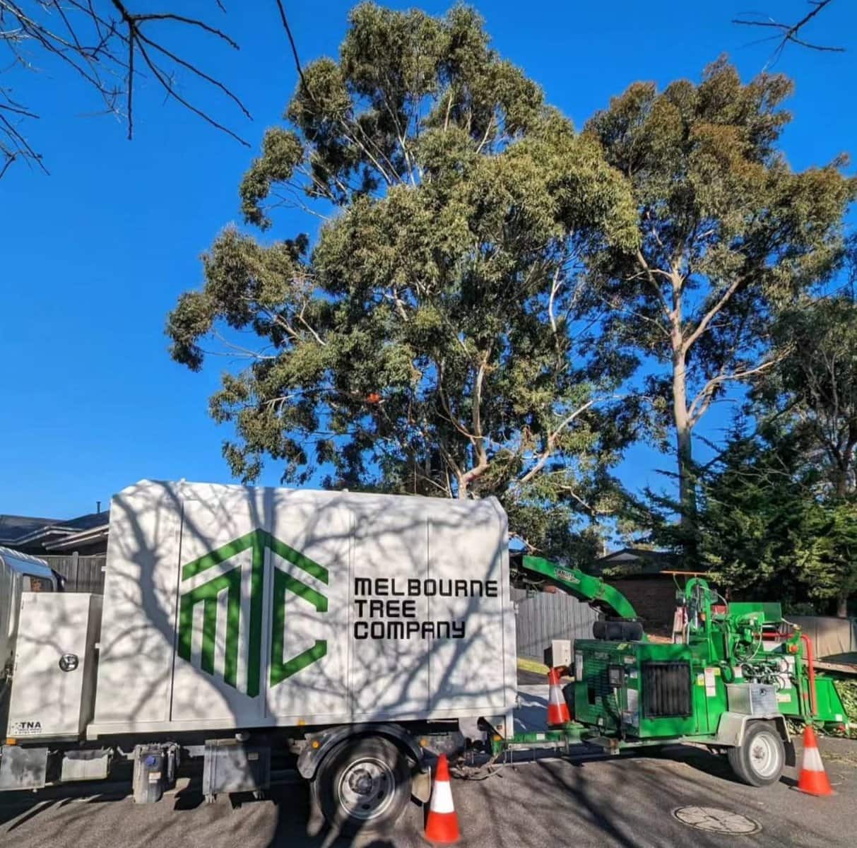 Tree Removal Carrum Downs VIC