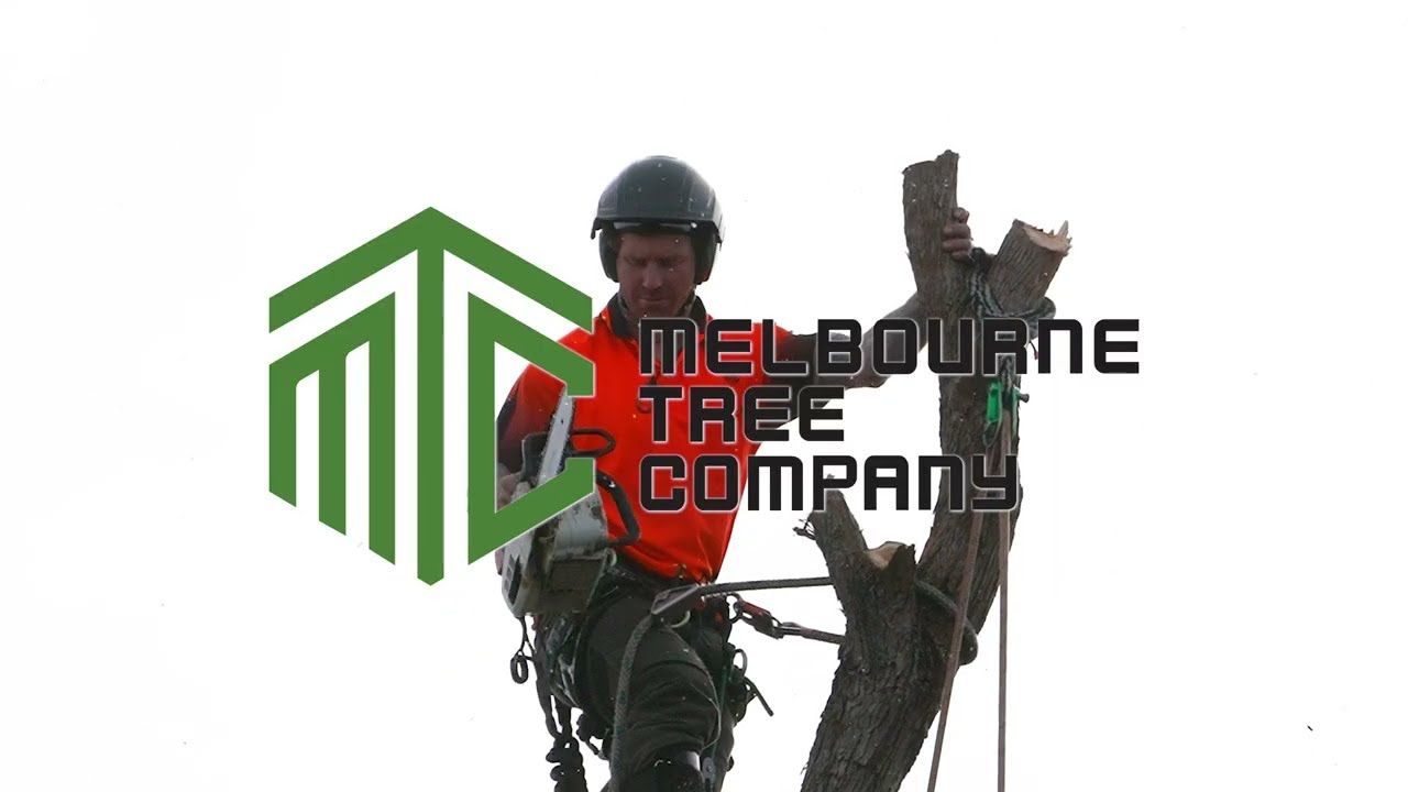 Melb Tree Co.